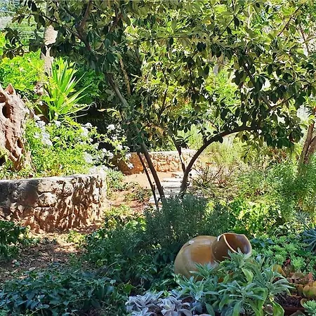 Spacious House Close To And Corfu Town Gastouri (Corfu)